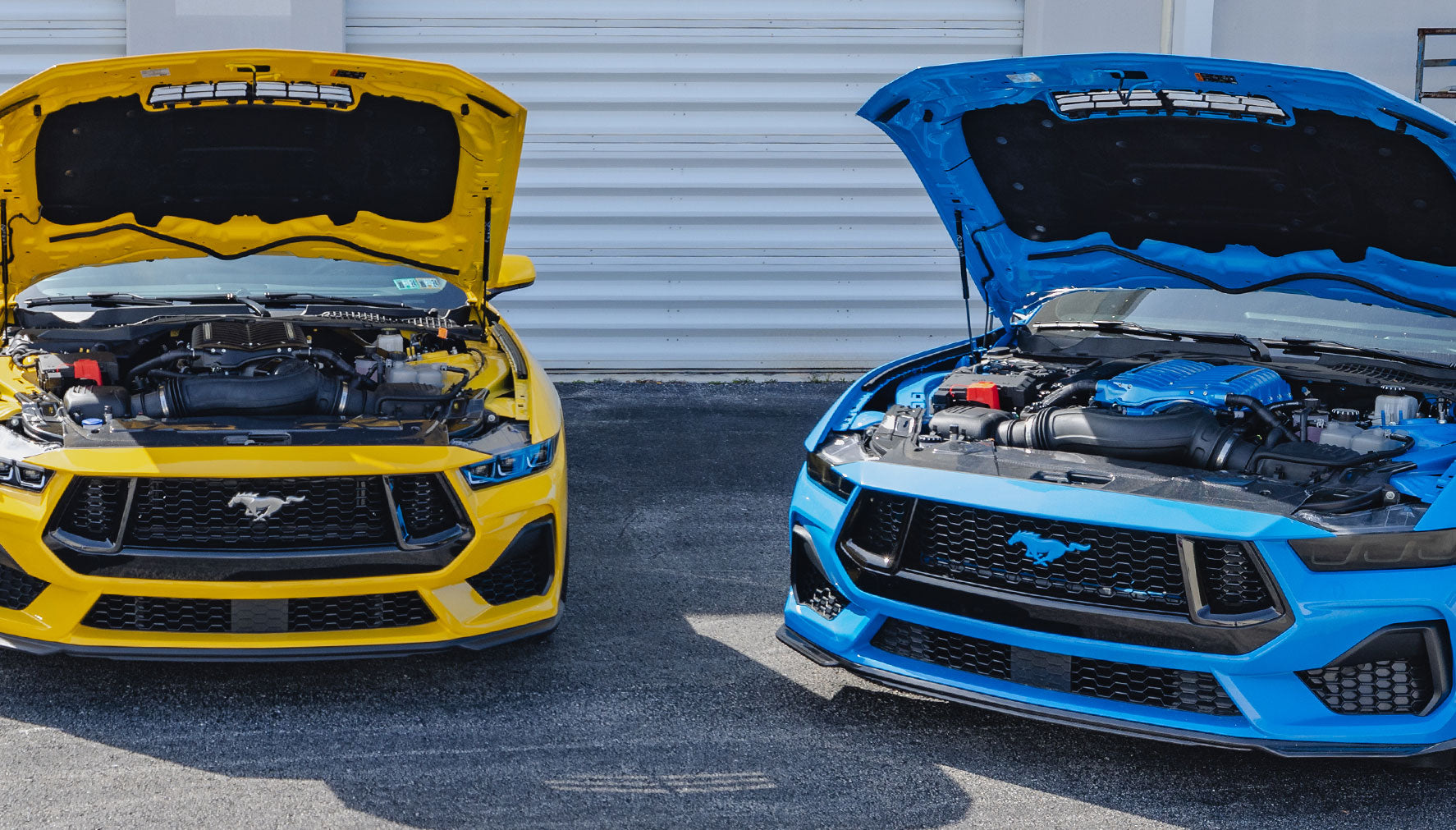 5 Proven Coyote 5.0L Mods for More Horsepower