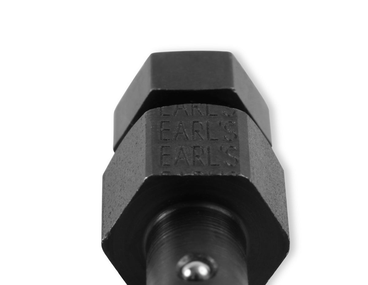 008erl_06.jpg