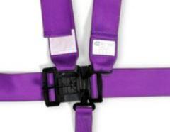 RaceQuip Latch & Link 5 Point Harness Set - 711051RQP