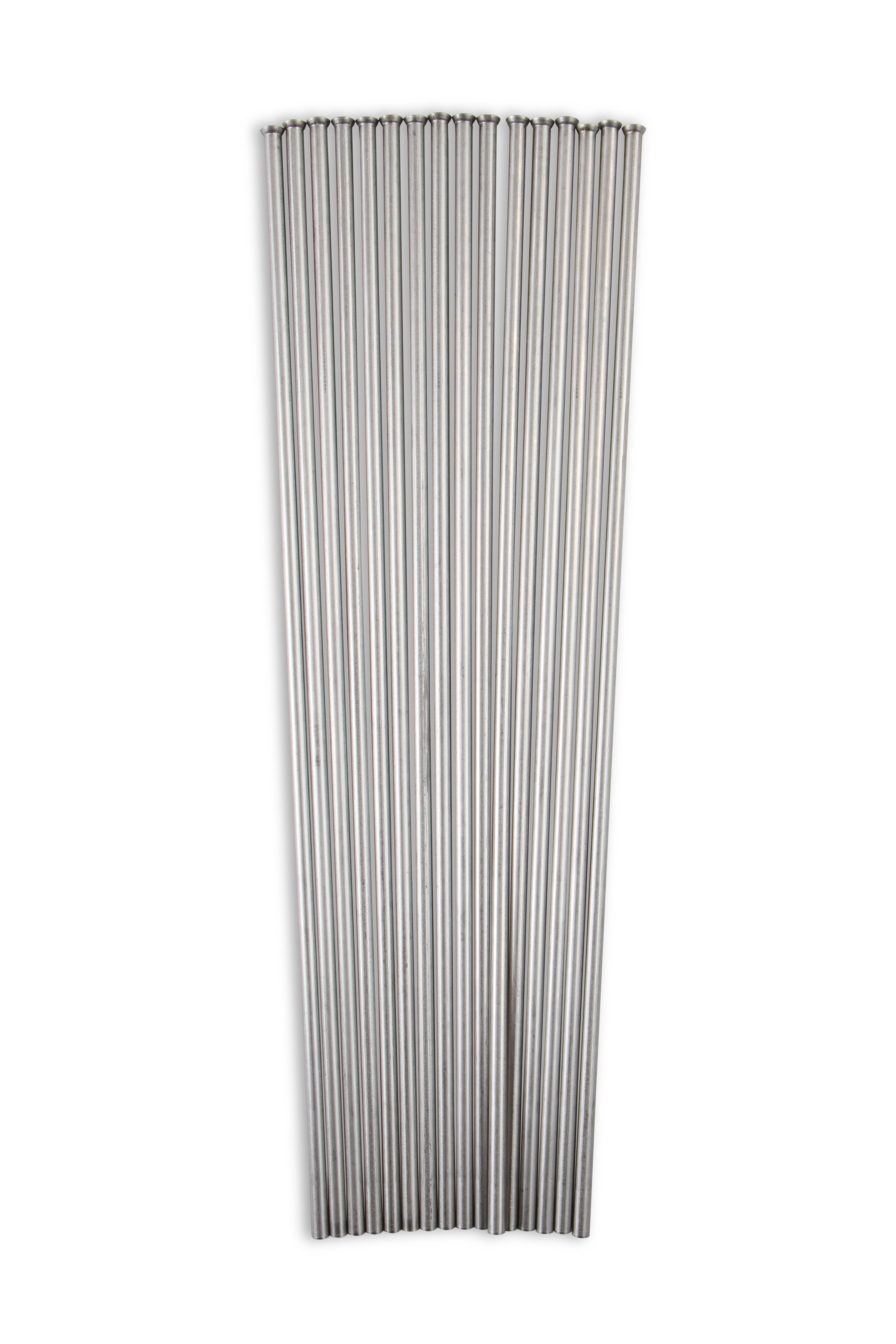 04466nos_19-2.jpg