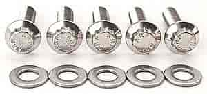 ARP M6 x 1.00 x 25 12pt SS bolts - 770-1002