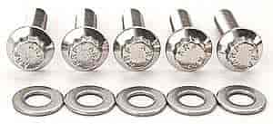 ARP M6 x 1.00 x 16 12pt SS bolts - 770-1017