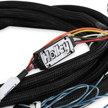 Holley 2018-2022 Ford DBW Harness - 558-469