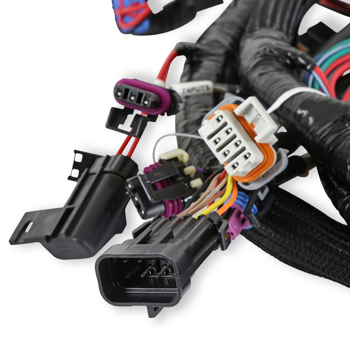 Holley TERMINATOR EFI MAIN WIRING HARNESS-TBI,LSX 24X.  - 558-111