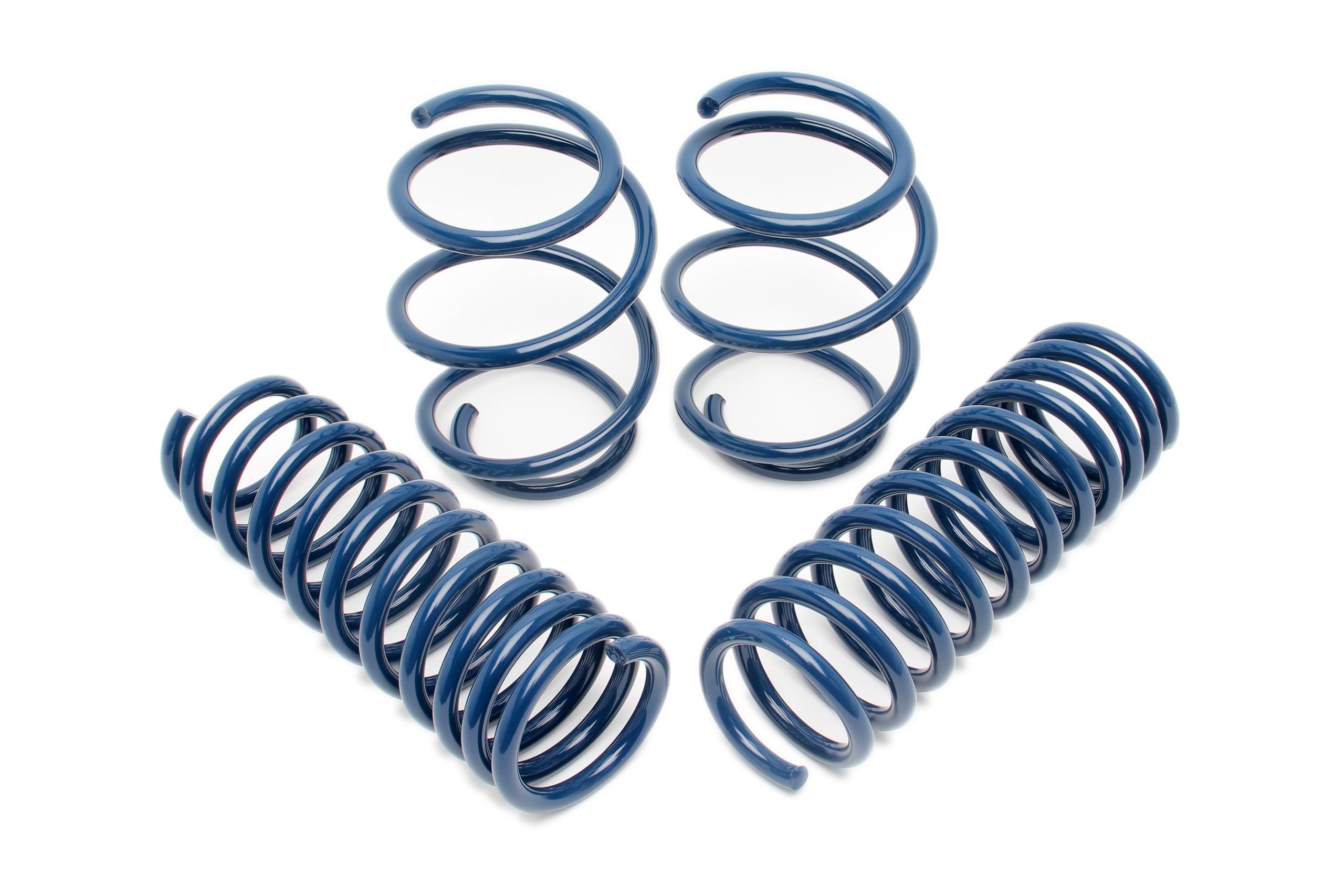 Spring Set; F22 228I F32 428I  - D100-0928