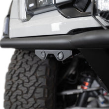 Photo - Close Up