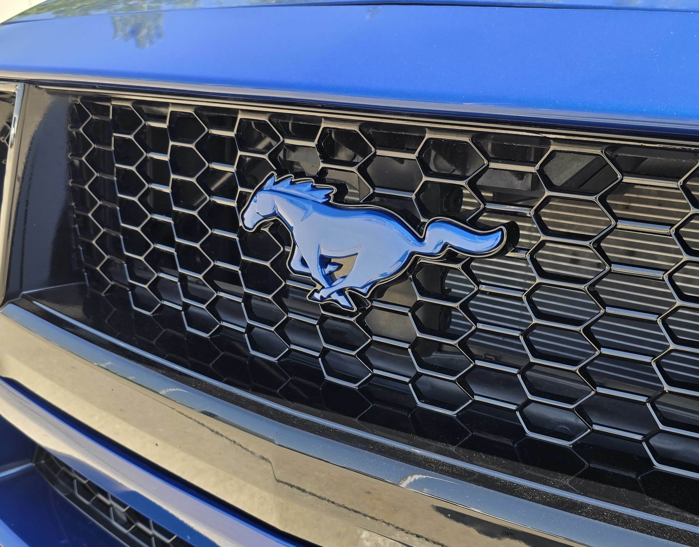 Painted Pony Emblem (2024-2026 Mustang GT / EcoBoost)