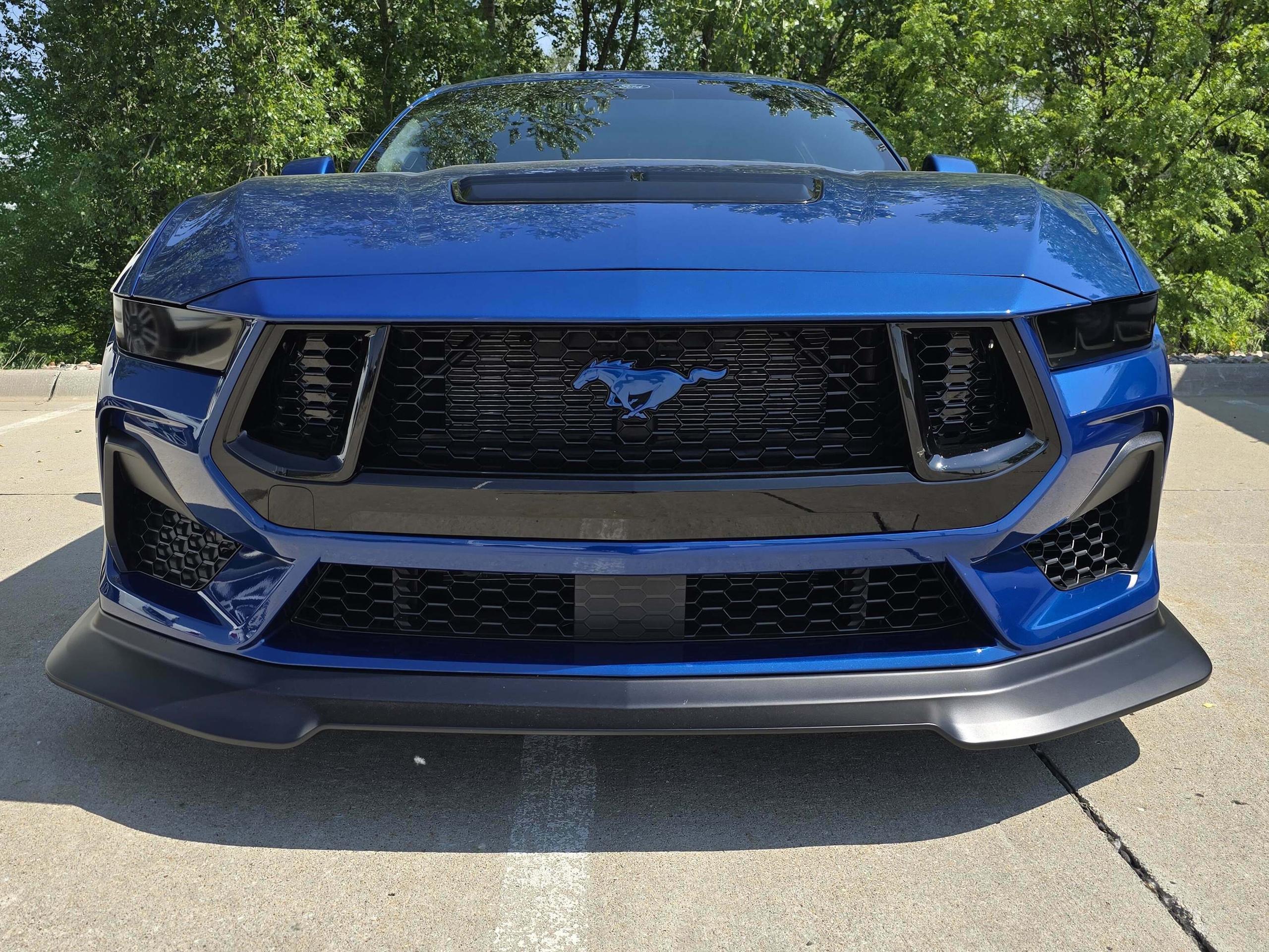 Painted Pony Emblem (2024-2026 Mustang GT / EcoBoost)