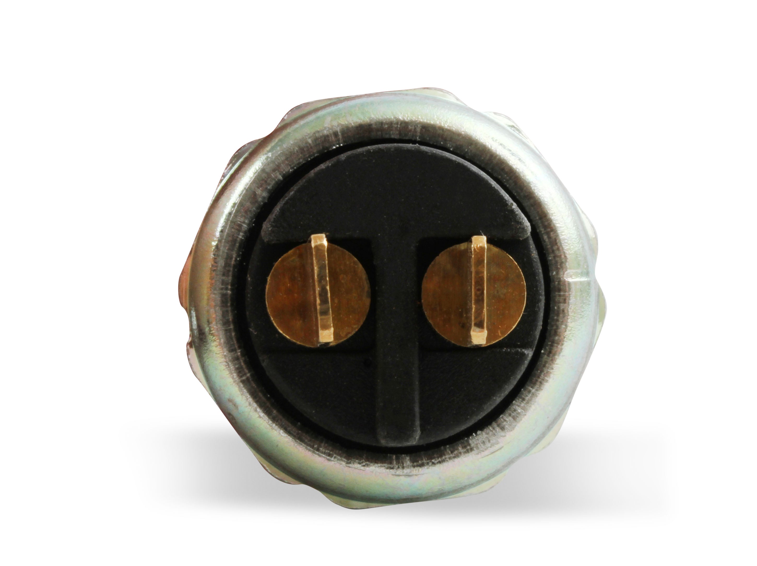 100186erl_05.jpg