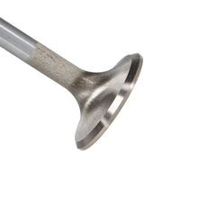 Manley Valve - Exhaust, Valve-SBC S/M 1.560 - 10747-1