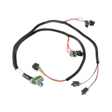 Holley INJECTOR HARNESS - EARLY TRUCK.  - 558-214