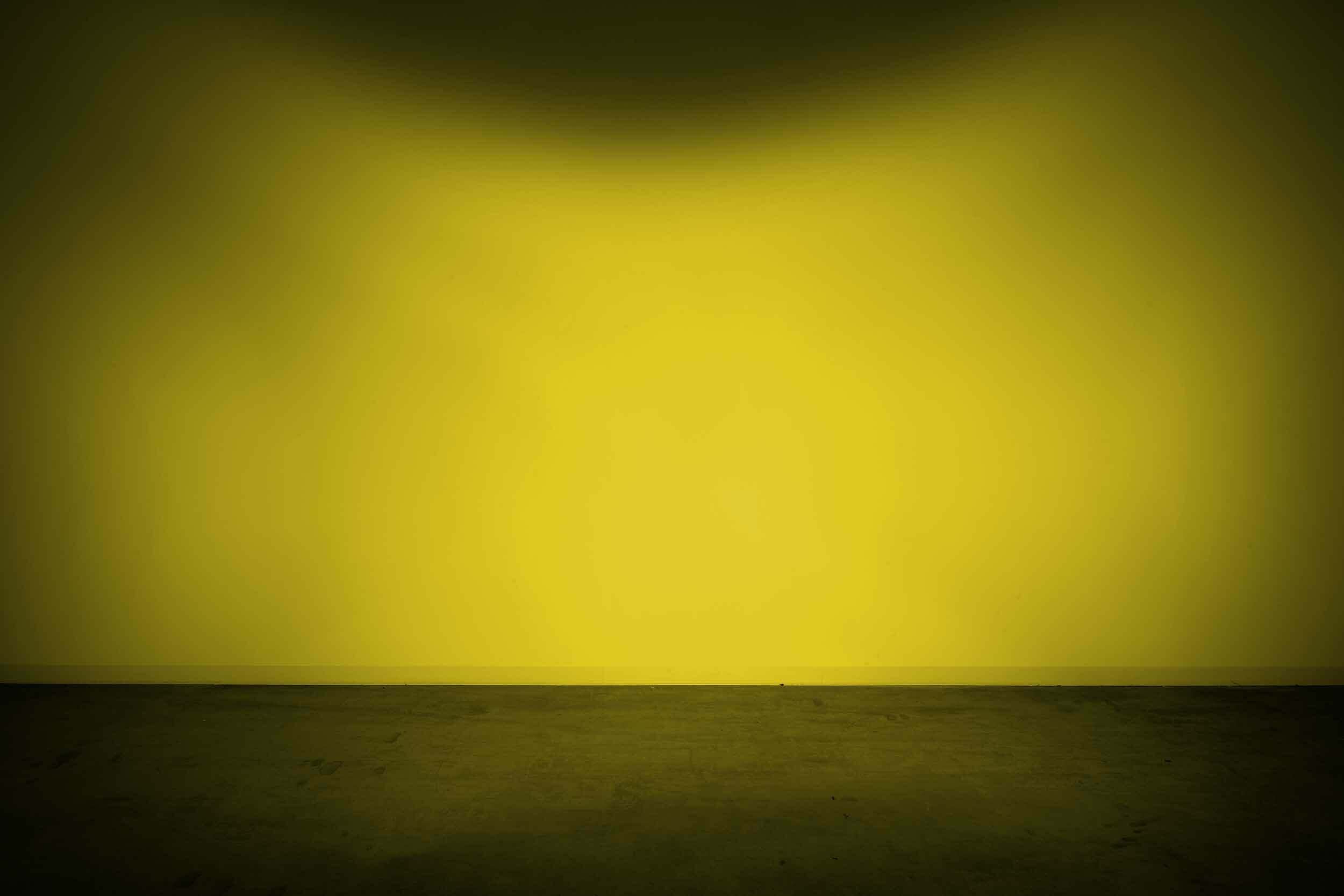 Morimoto 4Banger Replacement Lens (Yellow / Flood) - BAF206