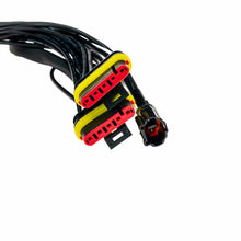 Morimoto European Wiring Adapters: Ferrari F430 Tail Lights - LF356-H-EU
