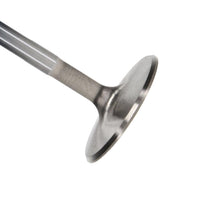 Manley Valve - Exhaust, Valve-Bbc R/M 1.900 - 11765-8