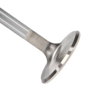 Manley Valve - Exhaust, Valve-330-455 1.710 - 11547-1
