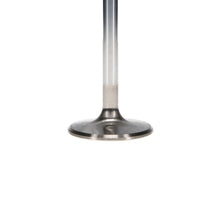 Manley Valve - Exhaust, Valve-Bbc S/M 1.900 - 10883-8