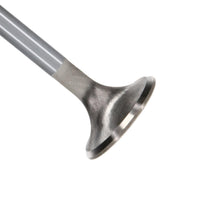 Manley Valve - Exhaust, Valve-Fd 5.0L R/M 31Mm - 11623-1