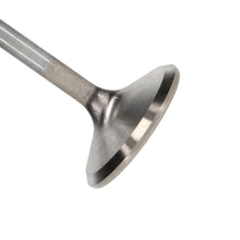 Manley Valve - Exhaust, Valve-FD MOD E/D 37.5mm - 11631B-1