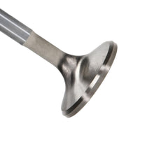Manley 11703-1 Manley Valve - Exhaust, Valve-R/F W-2 1.600 - 11703-1