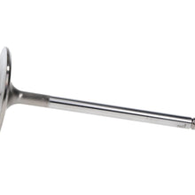 Manley Valve - Intake, Valve-BBC S/D 2.300 - 12780-1