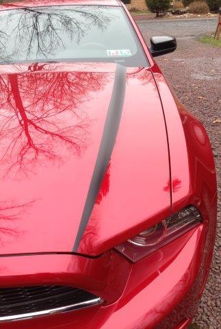 Anchor Room Hood Line Accents (2013-2014 Mustang) - Gloss White - 13FM_6HLA_GW