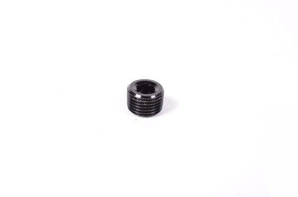 Radium Engineering 1/8Npt Plug - 14-0172