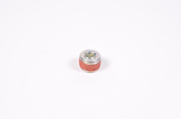 Radium Engineering 3/8Npt Plug - 14-0173
