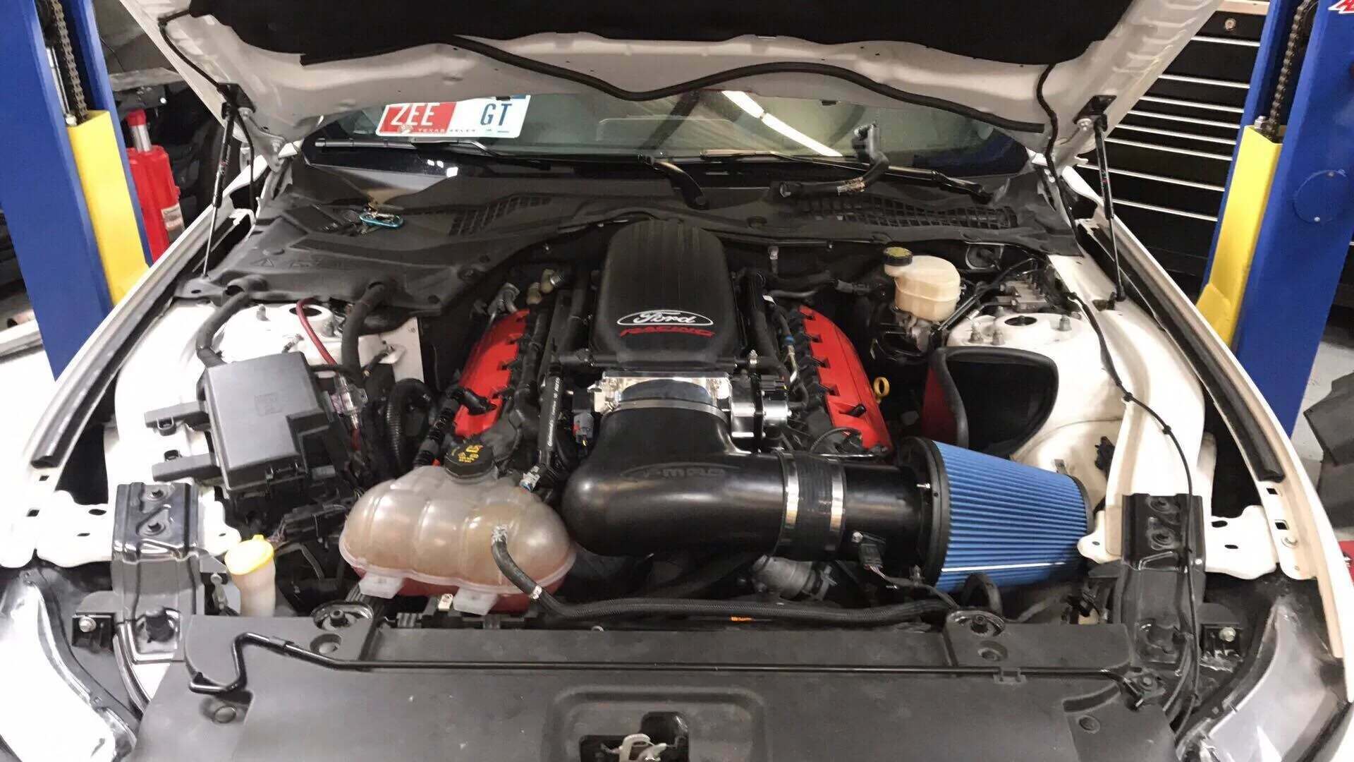 PMAS Air Intake System – Tune Required (2015-2023 5.0L Mustang GT w/ Cobra Jet Manifold) - N-CJ13-1