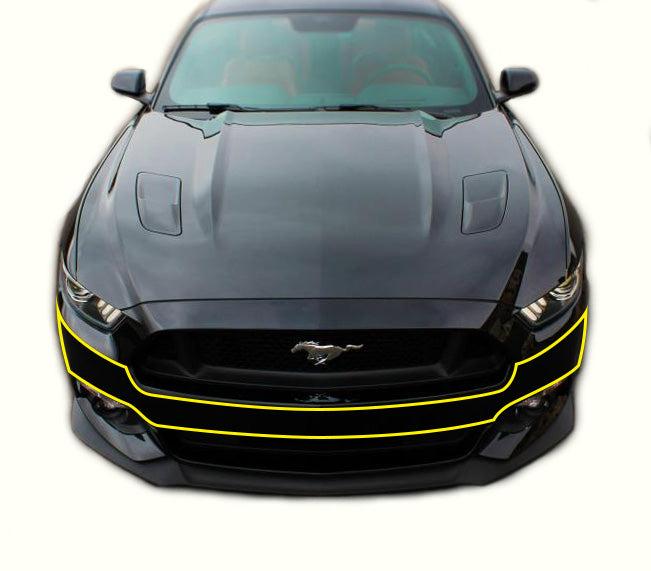 Anchor Room Paint Protection - Front Bumper (2015-2017 Mustang) - 15FM_PP_FB