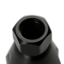 16756nos_1019217.jpg