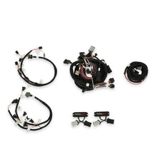 Holley Efi 558-505 Harness Kit, Ford Modular 2V