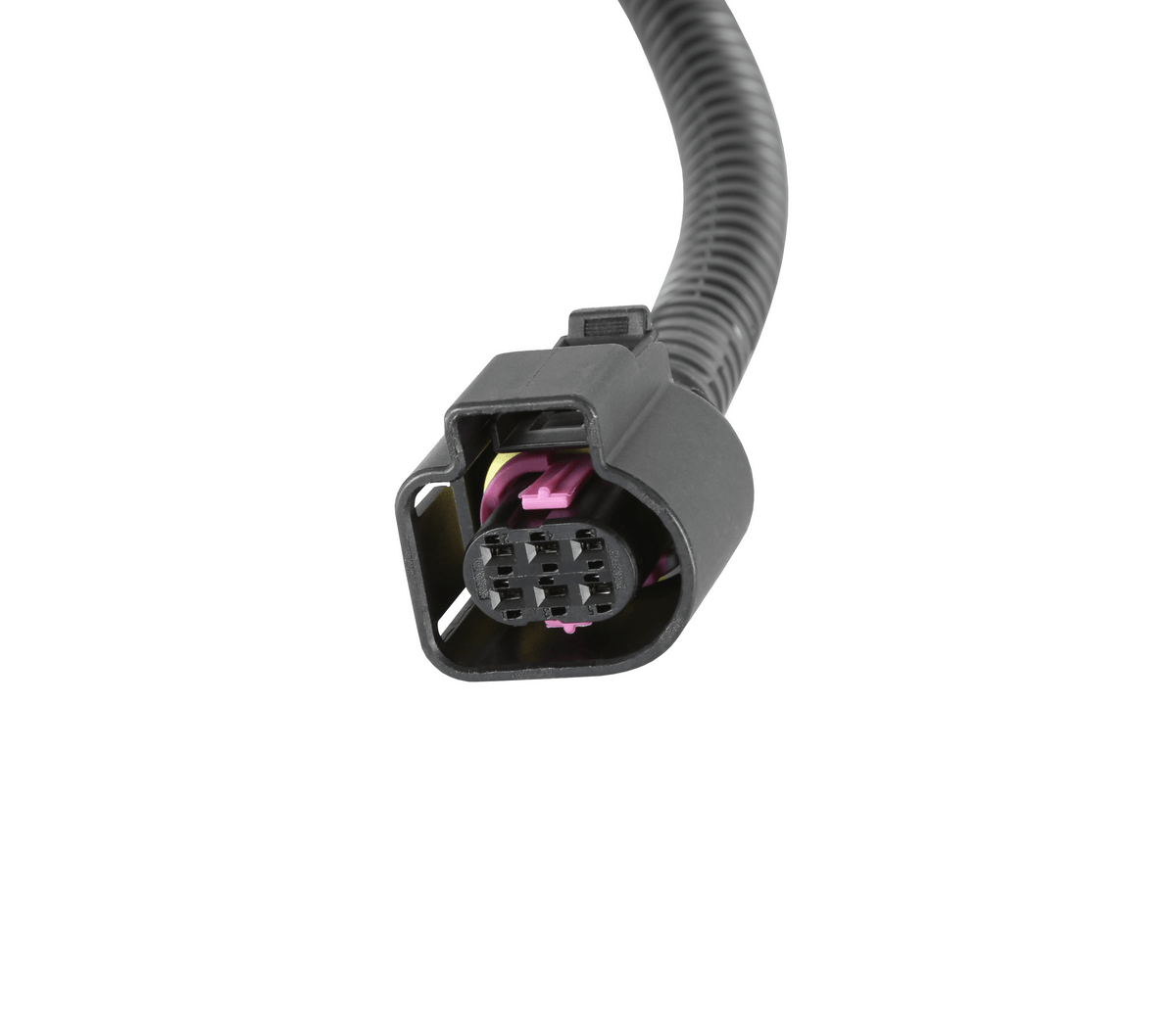Terminator X Wideband Adapter Harness 558-463
