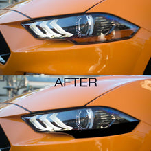 Anchor Room Rear Lens Vinyl Tint Kit - (2015-2017 Mustang & 2016-2020 GT350) - 18FM_PHAC_CF