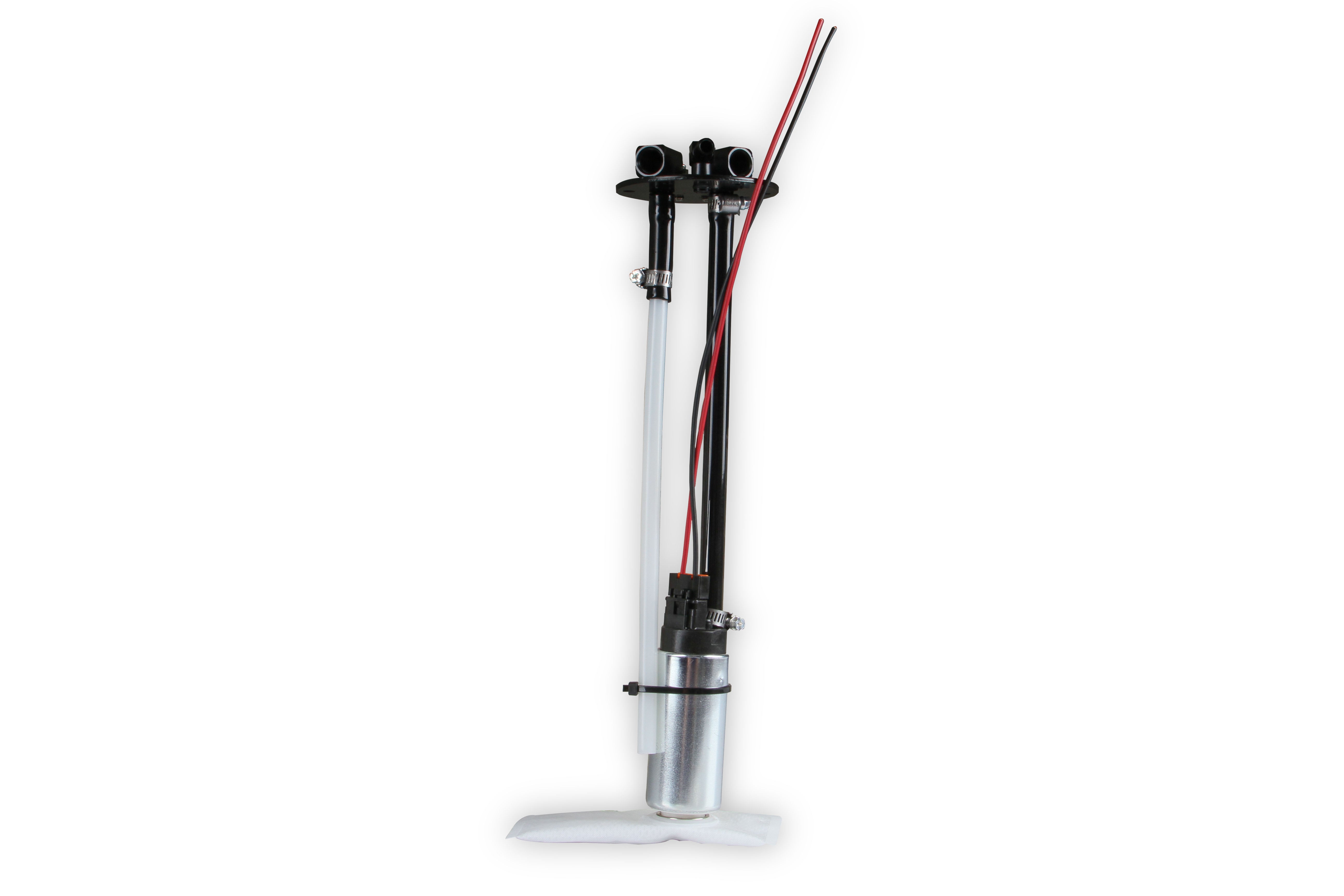 19-137_0519296.jpg