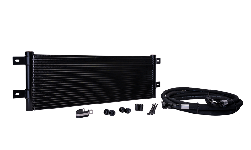 Photo - Primary