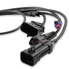 1bblharness_01.jpg