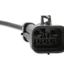 1bblharness_02.jpg