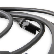 1bblharness_03.jpg
