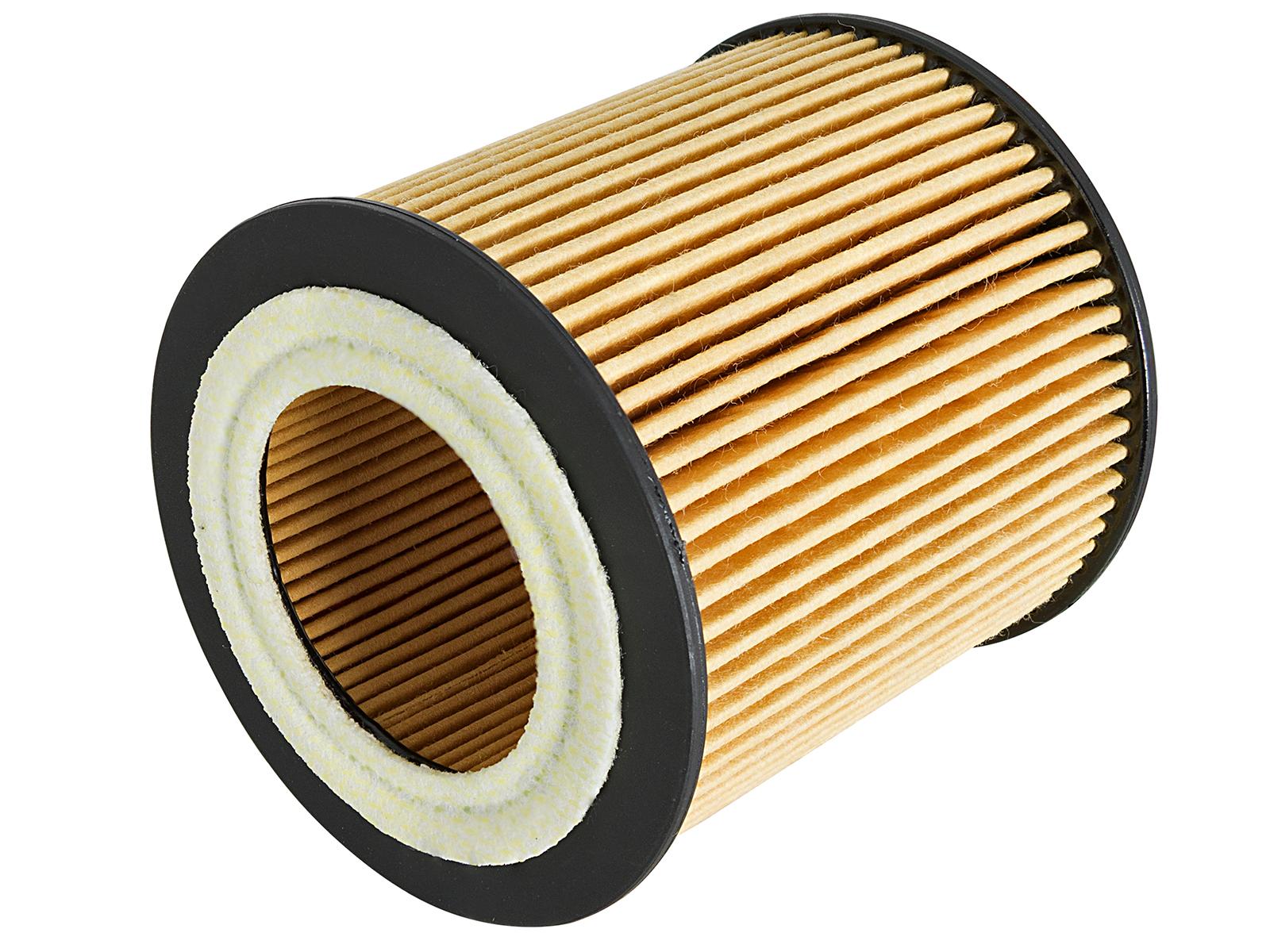 AFE Pro GUARD D2 Oil Filter (4 Pack) - 44-LF029-MB
