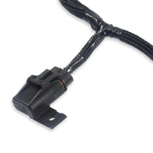 Holley Benchtop Wiring Harness - 558-127