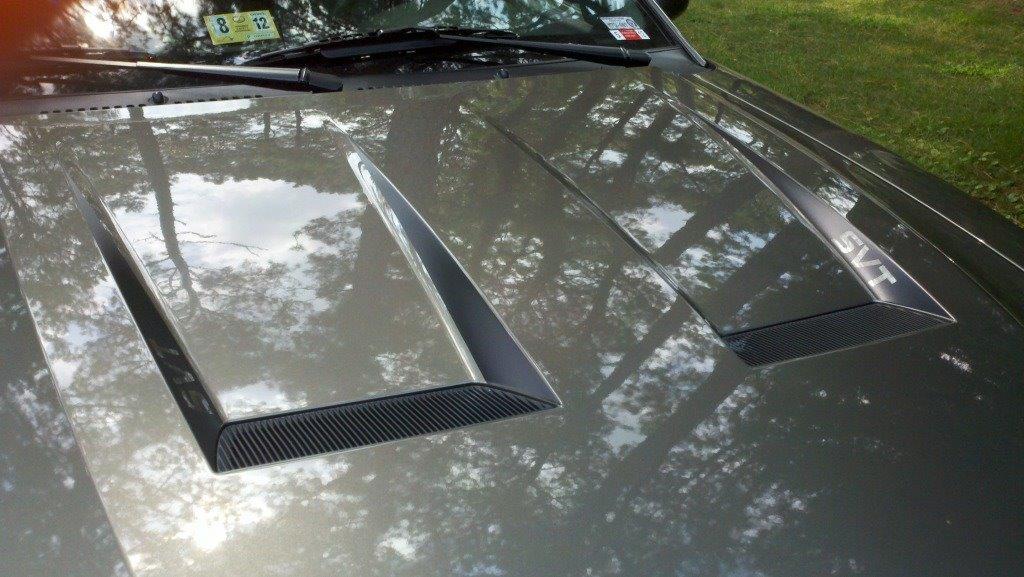 Anchor Room Hood Accent Decal Kit (2003-2004 Cobra) - Silver - 03FC_HAC_S