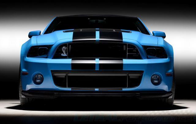 Ford 2013-2014 Shelby GT500 Lower Grille