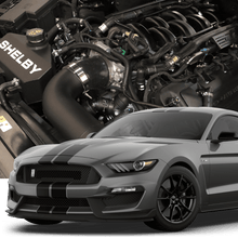 Hellion Sleeper - Complete Emissions Tested Twin Turbo System (2016-2020 Mustang Shelby GT350) - HT-1045E