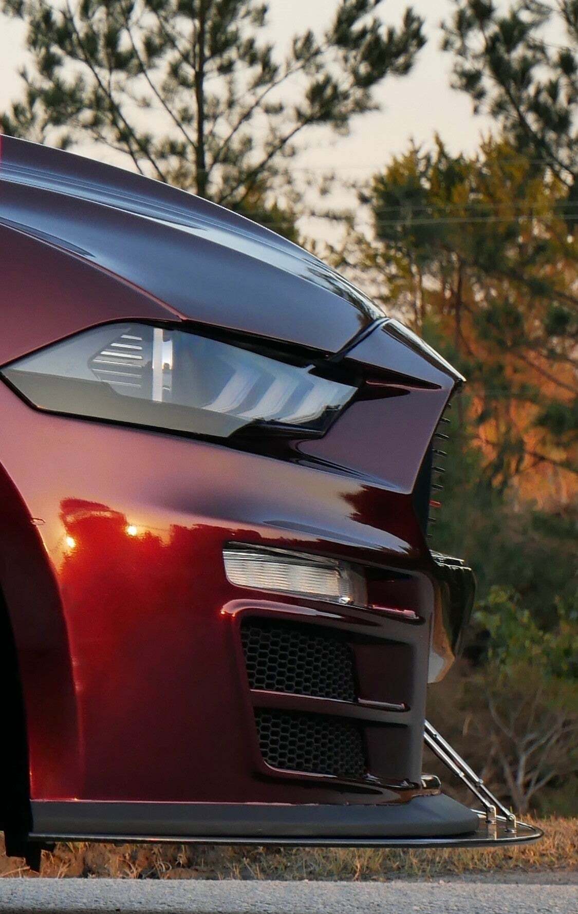APR Carbon Fiber Wind Splitter With Rods (2018--2023 Saleen Mustang) - CW-201895