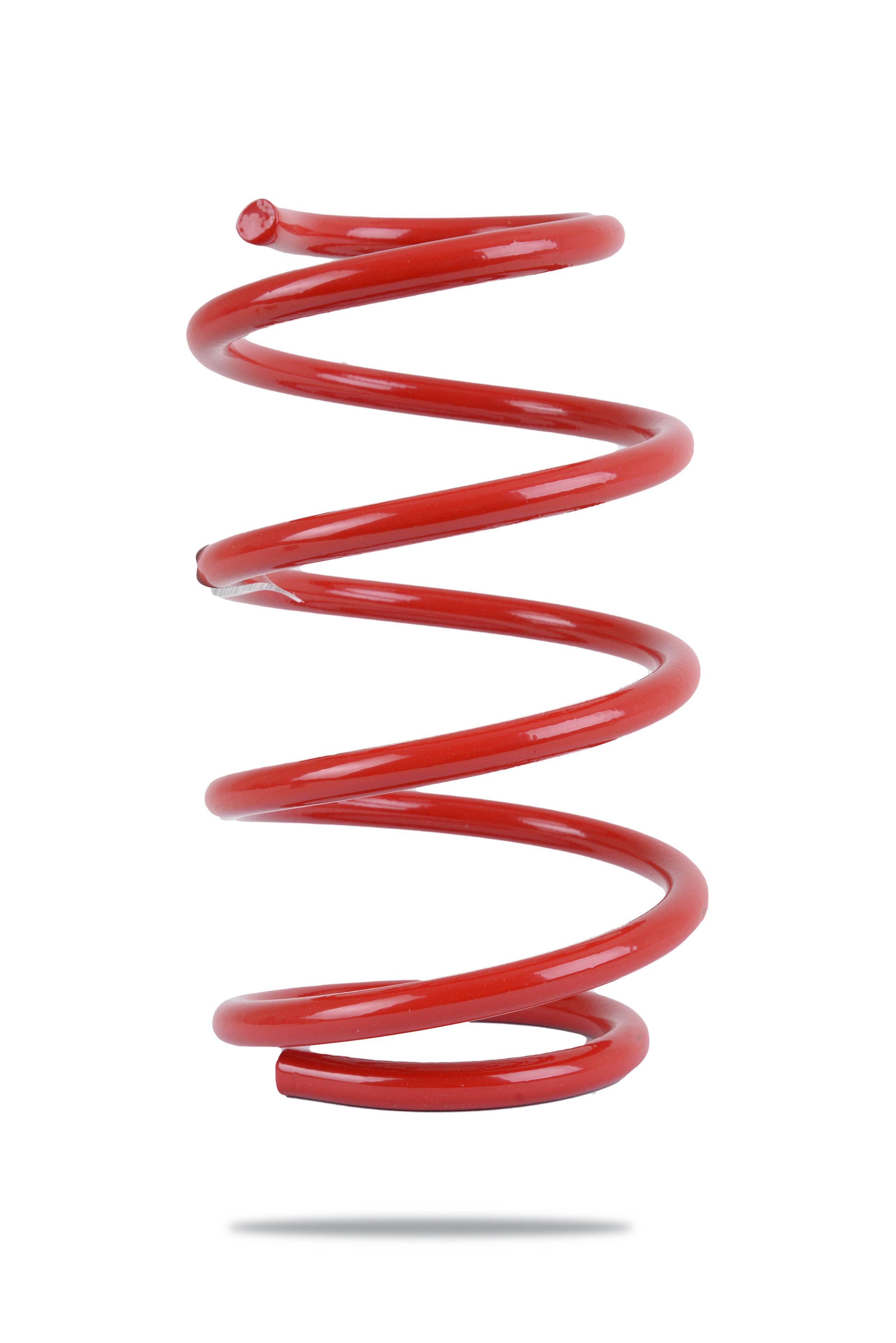 Pedders Coil Spring - Front - Low (2015-2026 Mustang) - PED-220136