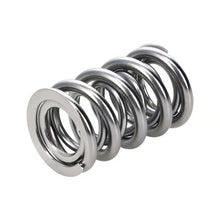 Manley Valve Spring, Spring-1424 Polished - 221424P-1