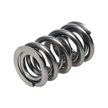 Manley Valve Spring, Spring-1425 Polished - 221425P-1