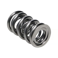 Manley Valve Spring, Spring-1425 Polished - 221425P-1