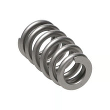 Manley Valve Spring, Spring-1.311 Single - 221428-1