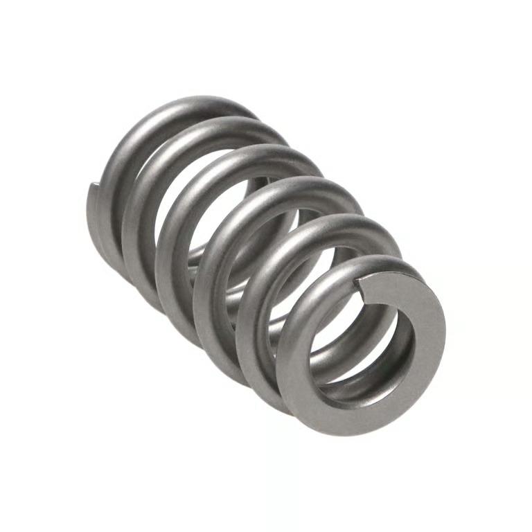 Manley Valve Spring, Spring-1.311 Single - 221428-1